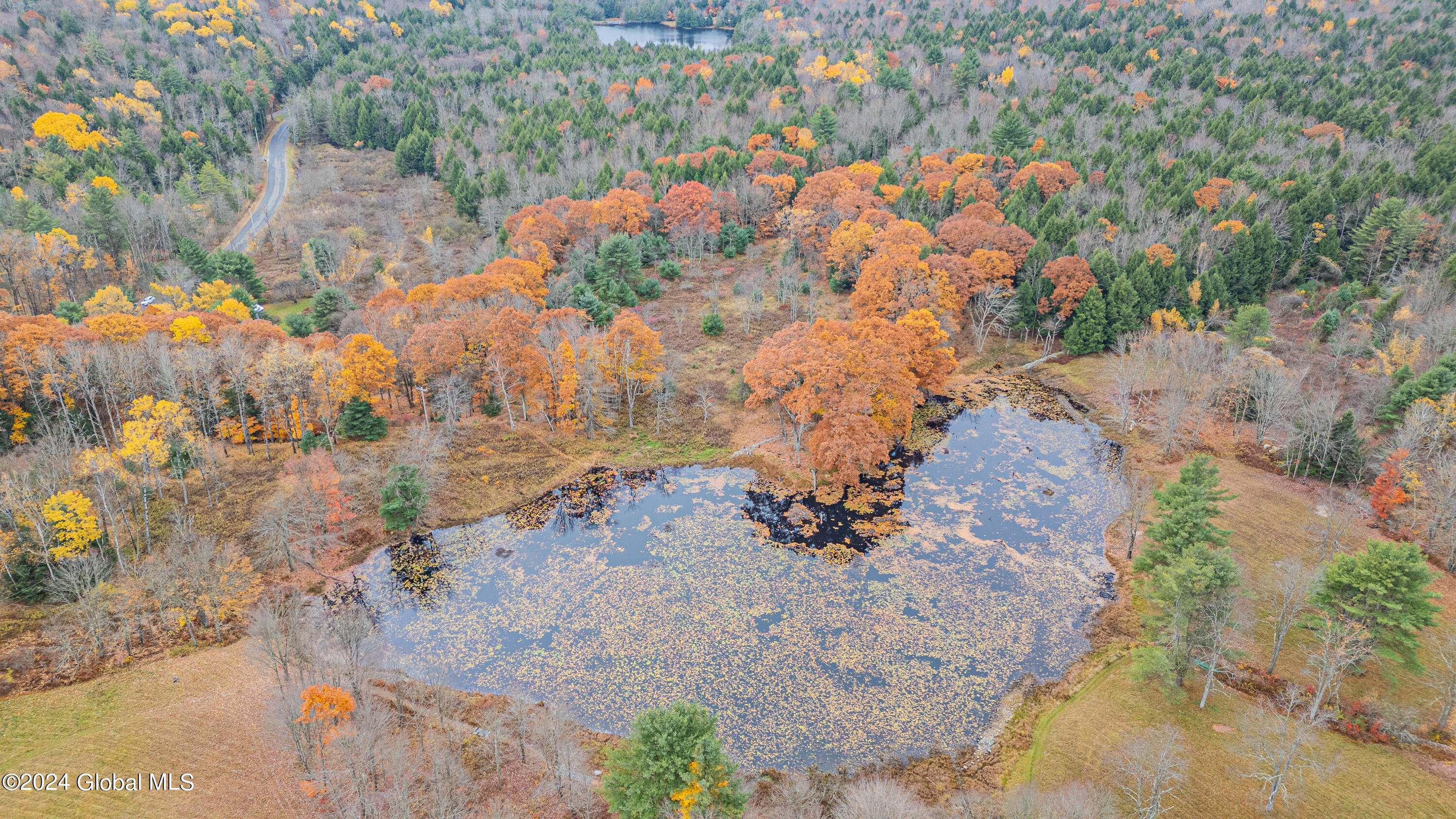 361 Fifty Six Road Poestenkill, NY 12138 - Photo 5 of 32 Air Photo 6