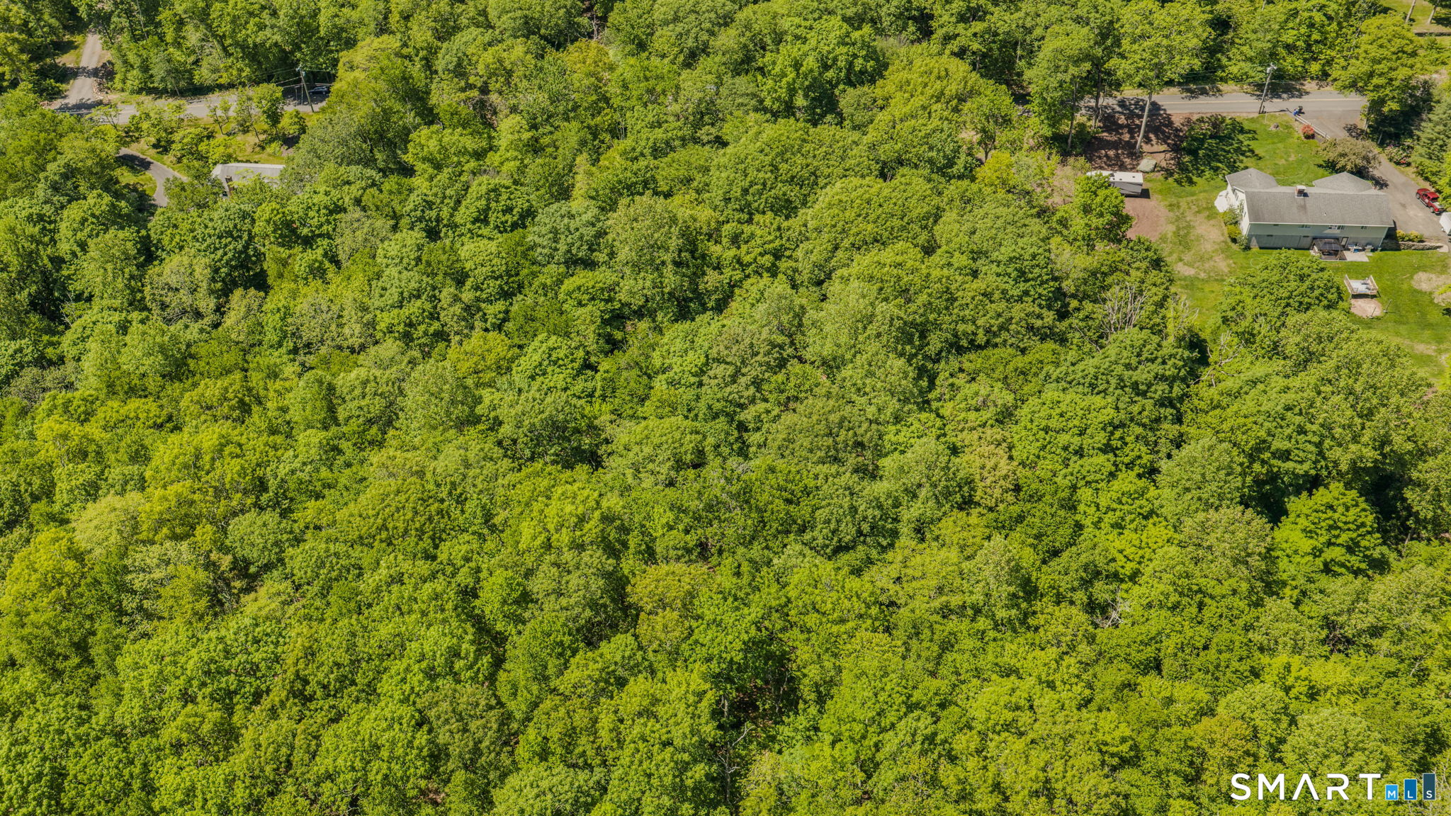 Lot10-b1 Foot Hills Road Higganum, CT 06441 - Photo 33 of 33 a view of a big yard with plants and large trees