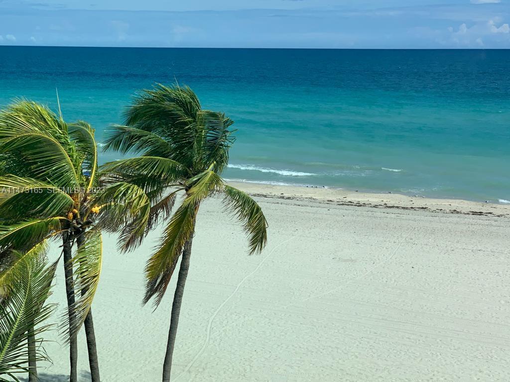 1801 South Surf Road, Unit 4C Hollywood, FL 33019 - Photo 2 of 14 a close up of a plant in a bathroom