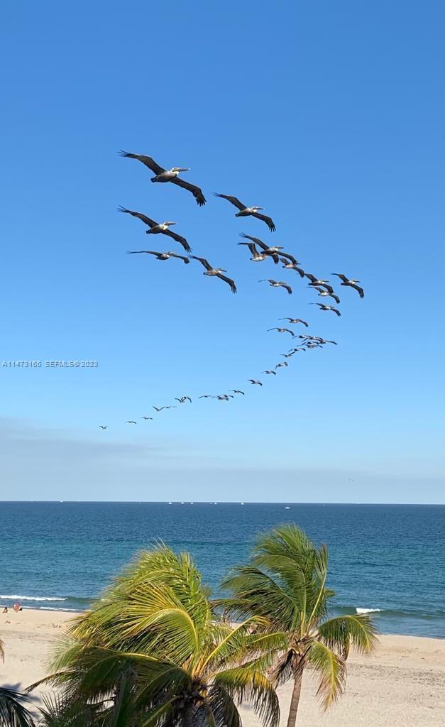 1801 South Surf Road, Unit 4C Hollywood, FL 33019 - Photo 7 of 14 a view of a room with an ocean view