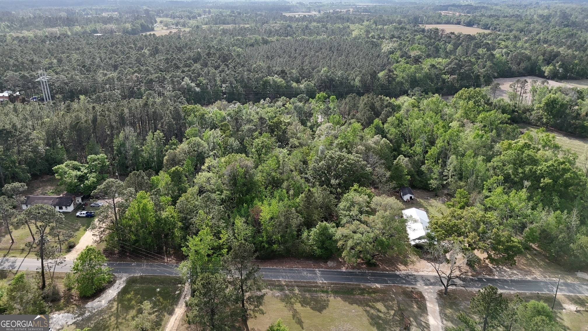 4 Spring Branch Road Baxley, GA 31513 - Photo 6 of 18