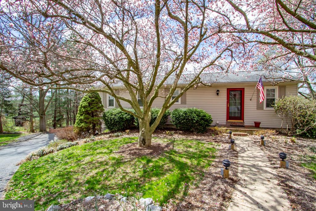 519 Rambler Road Manheim, PA 17545 - Photo 3 of 20 Gallery Image 3