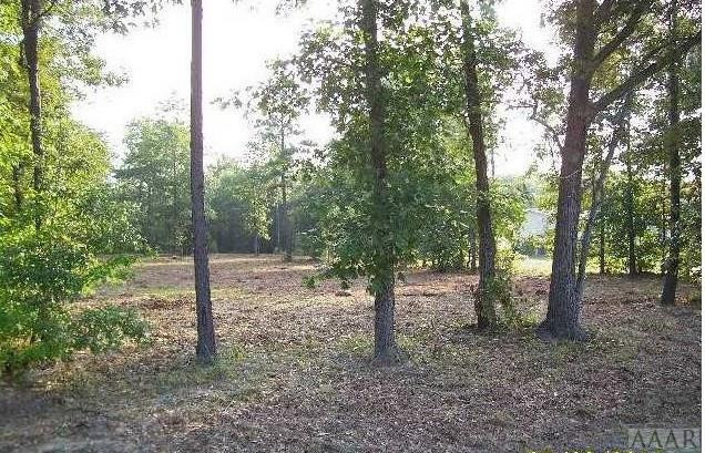 Lot 10 Taylor Mill Road Eure, NC 27935 - Photo 2 of 5 Gallery Image 2