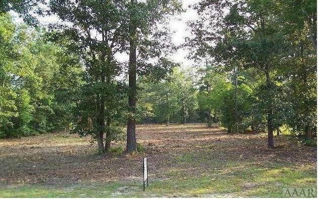 Lot 10 Taylor Mill Road Eure, NC 27935 - Photo 4 of 5 Gallery Image 4