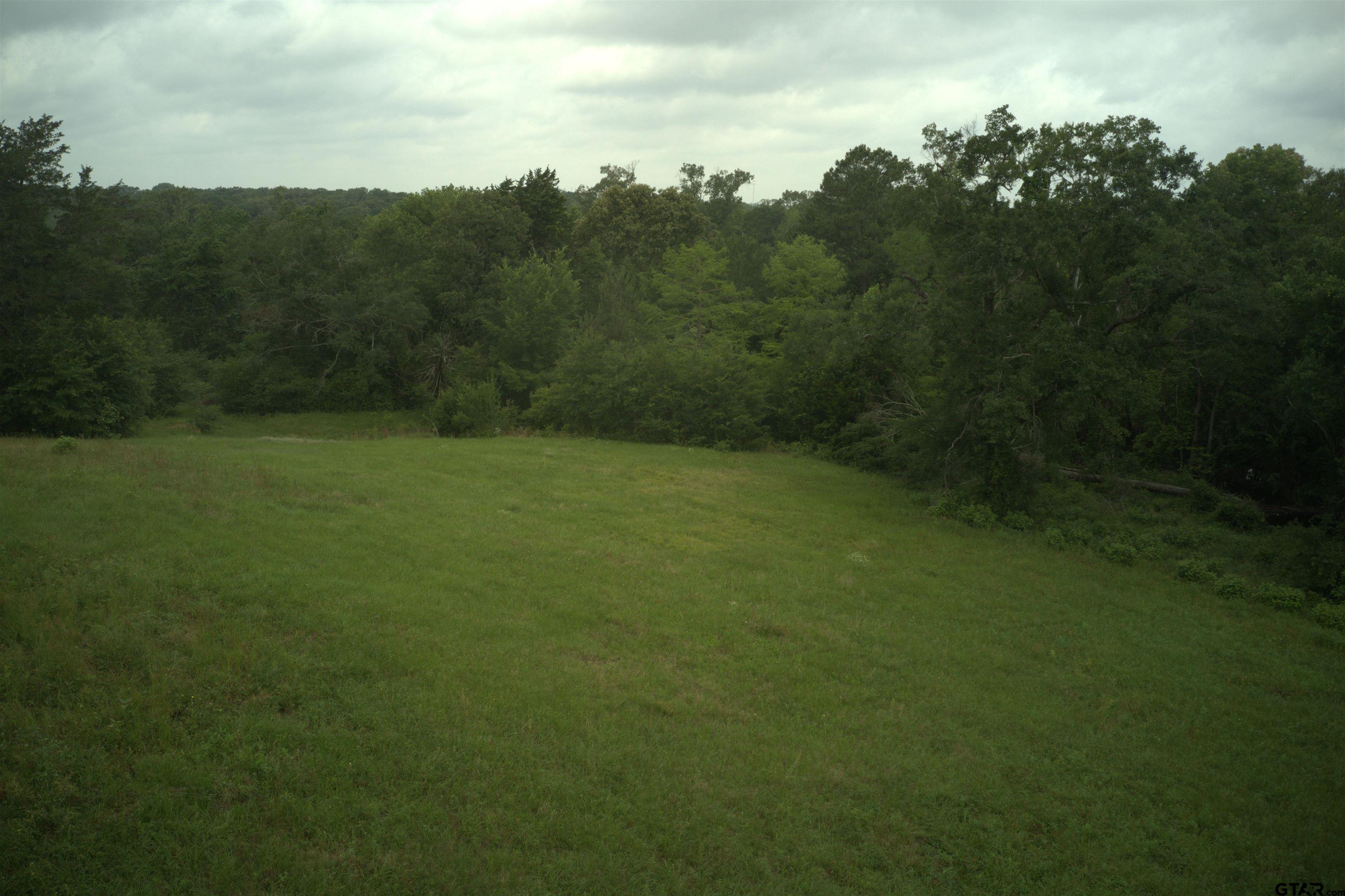 14546 Highway 271 Tyler, TX 75708 - Photo 8 of 11