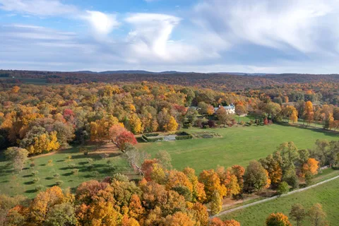 a view of a backyard with large trees