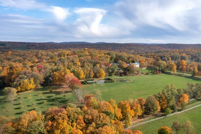 a view of a backyard with large trees