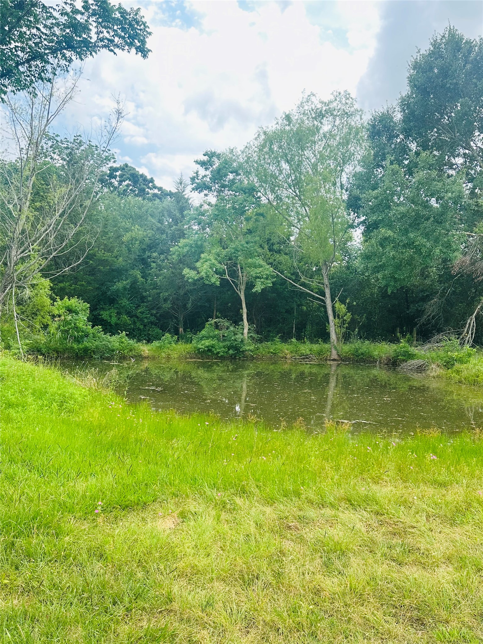 465 Stalbaum Road Bellville, TX 77418 - Photo 5 of 18 Gallery Image 5
