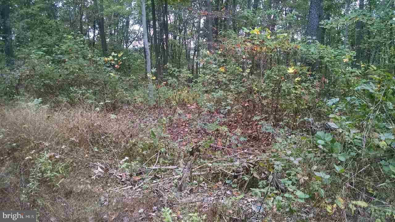 Lot 3 Quarry Road, Unit 3 Delta, PA 17314 - Photo 2 of 3 Gallery Image 2