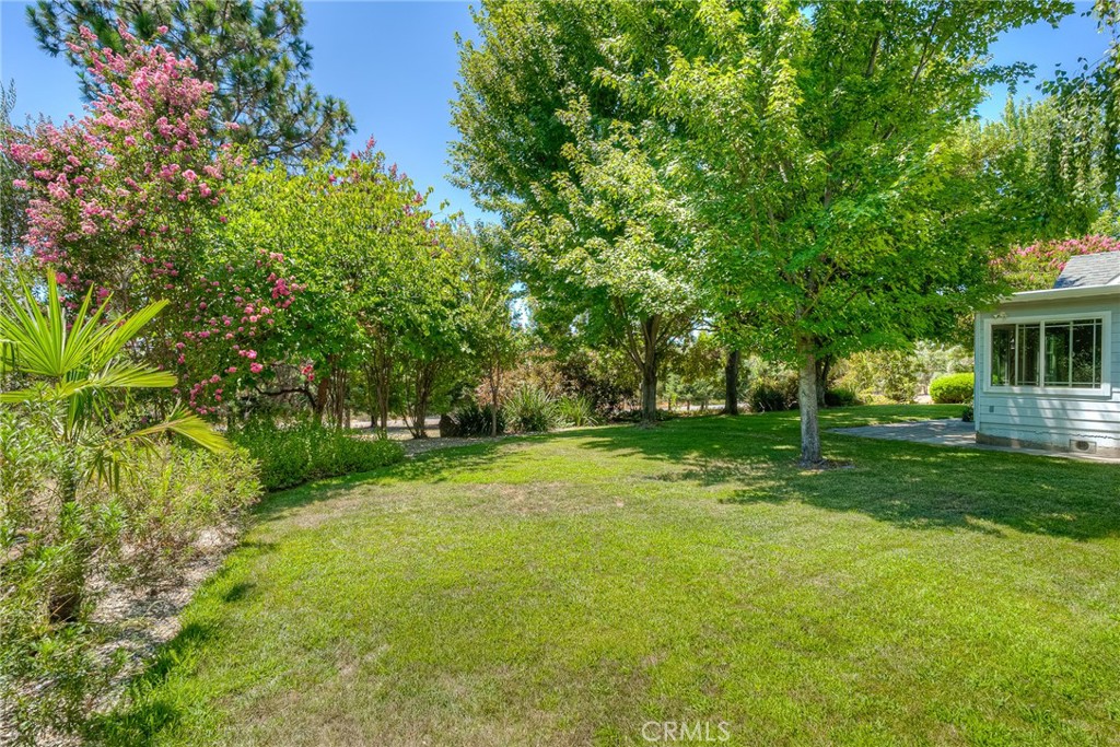 6060 Miners Ranch Road Oroville, CA 95966 - Photo 27 of 66 a view of a backyard with large trees