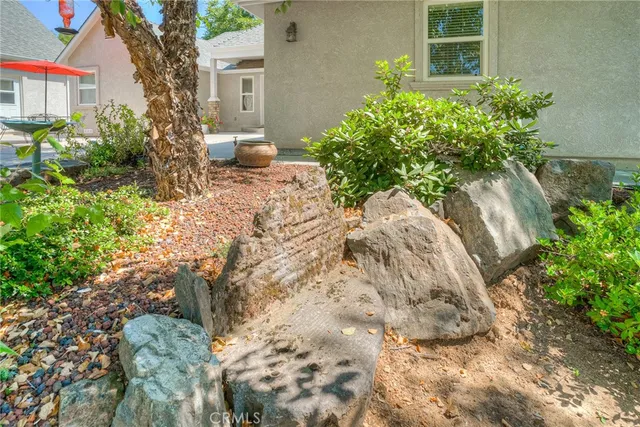 a view of a house with a yard and large tree
