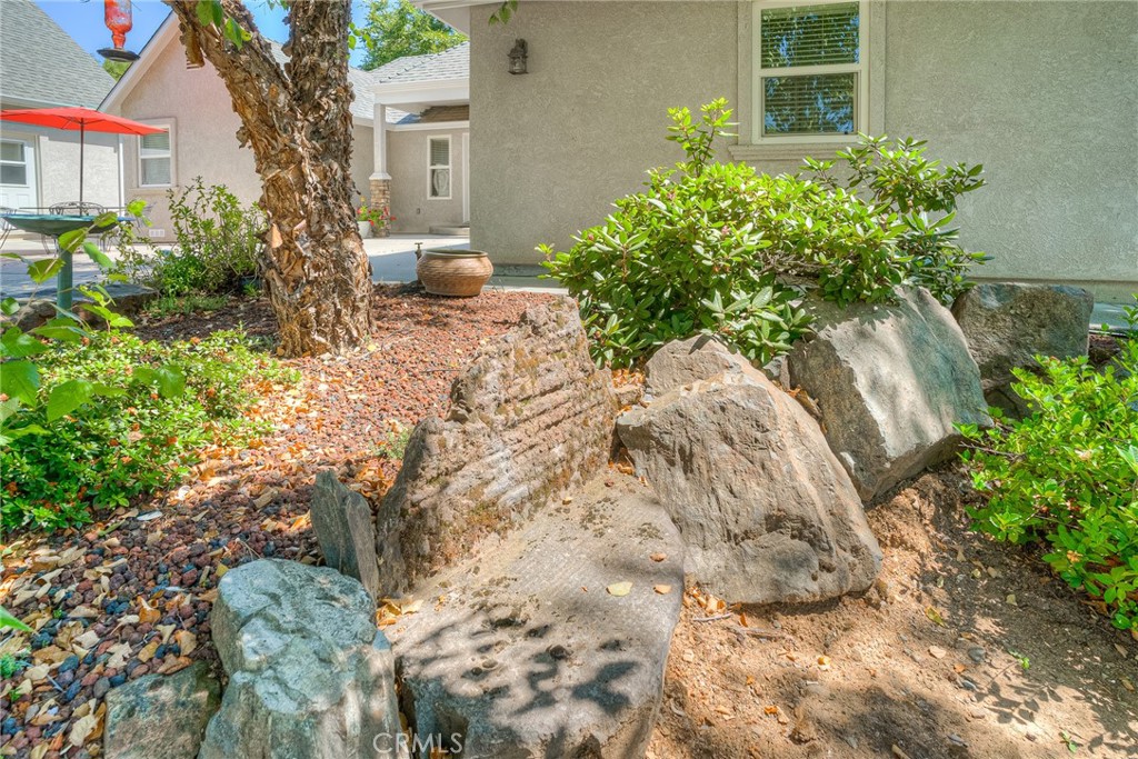 6060 Miners Ranch Road Oroville, CA 95966 - Photo 39 of 66 a view of a yard with plants and flowers