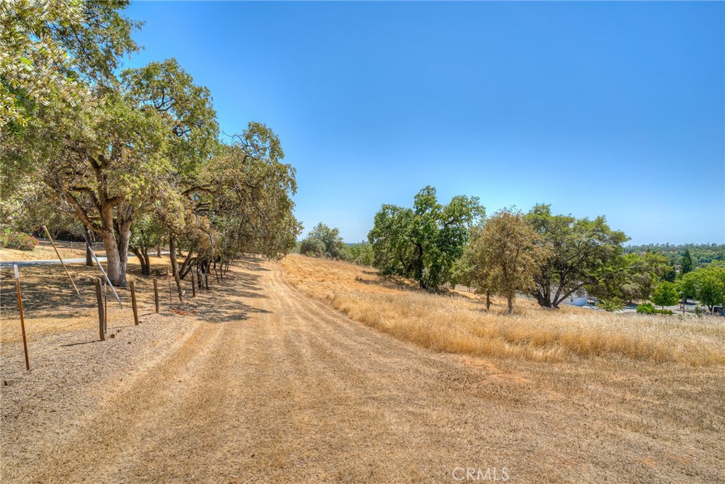 6060 Miners Ranch Road Oroville, CA 95966 - Photo 46 of 66 a view of a yard with trees and a wooden fence