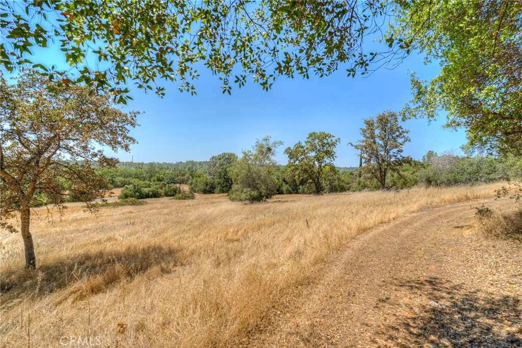 6060 Miners Ranch Road Oroville, CA 95966 - Photo 48 of 66 a view of a yard