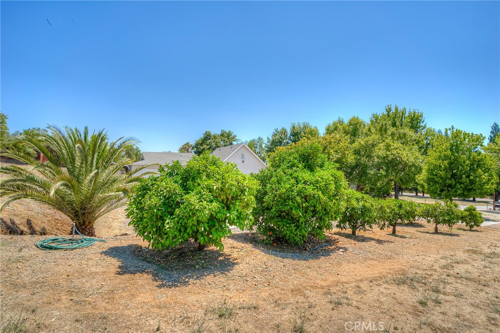 6060 Miners Ranch Road Oroville, CA 95966 - Photo 50 of 66 a view of a road with a garden