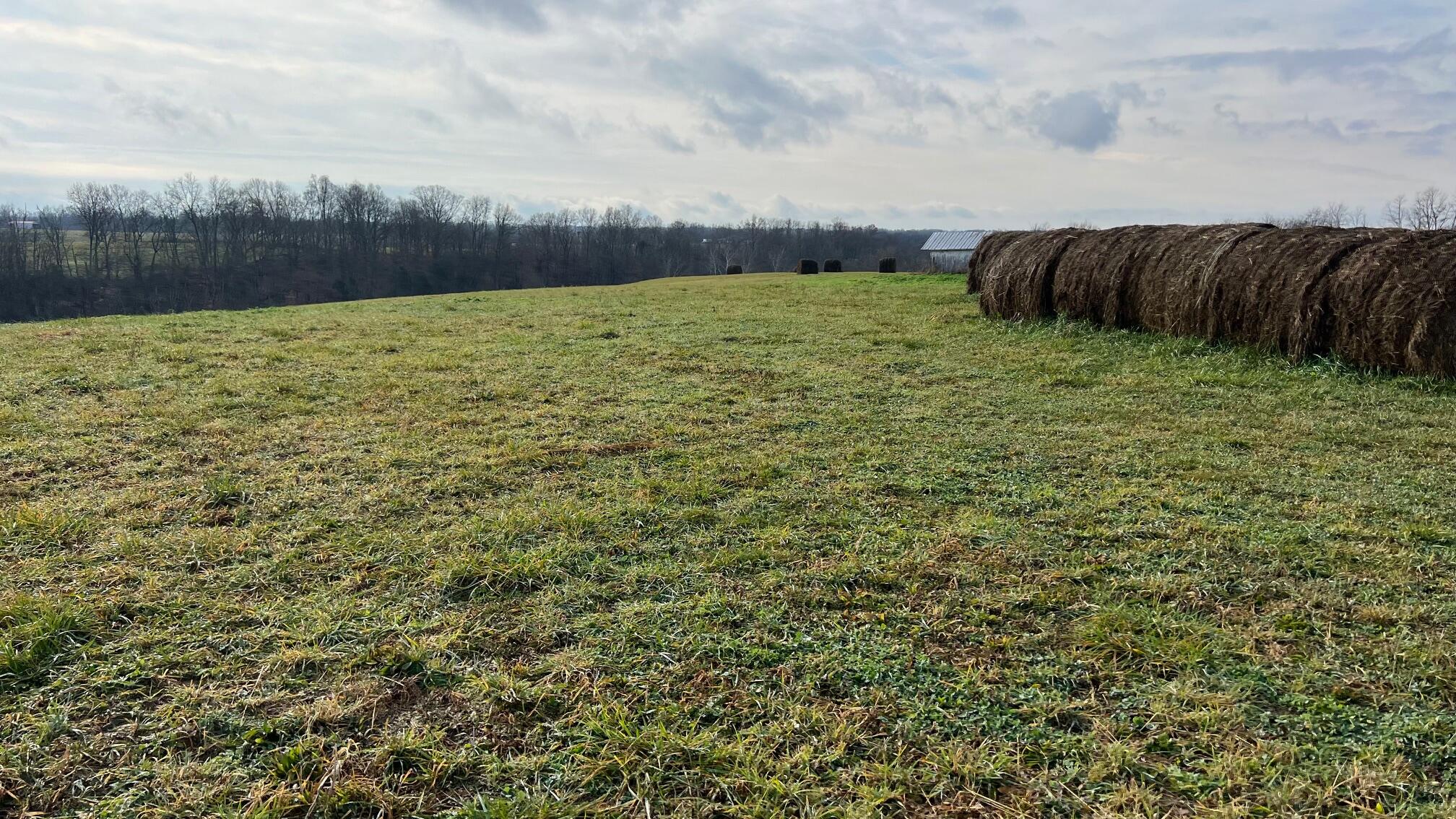 360-5 Mulligan Road Dry Ridge, KY 41035 - Photo 5 of 19