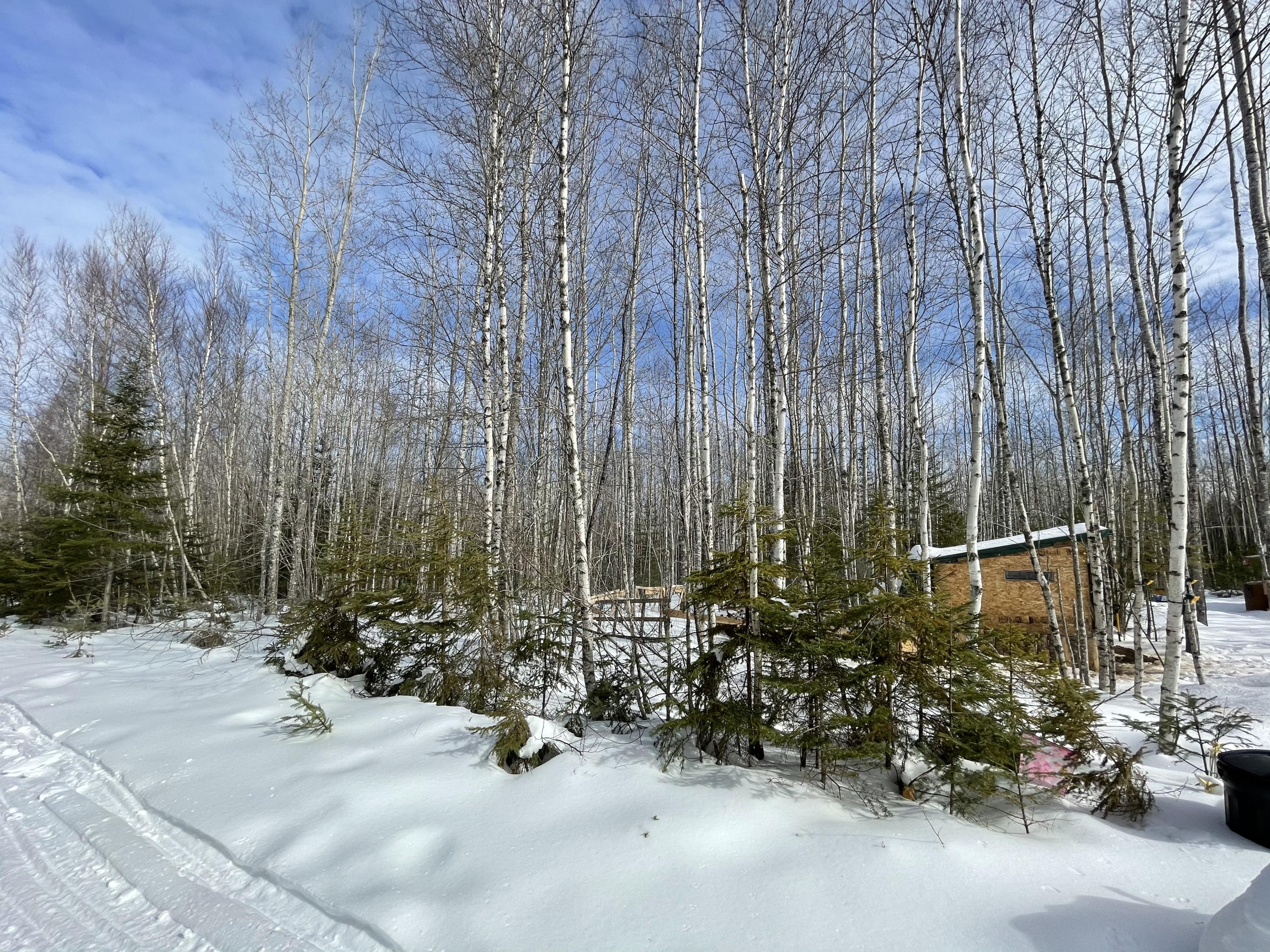 Off Off Tower Road Springfield, ME 04487 - Photo 4 of 15 ED3D2EC4-2A8B-4B16-B6DB-BC4455C60632