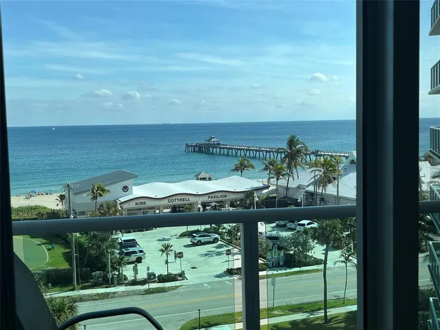 a view of a garden from a window