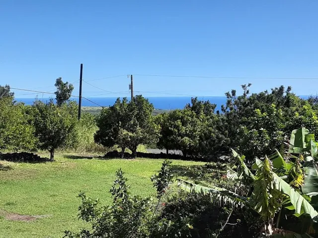 a view of a garden with a building in the background