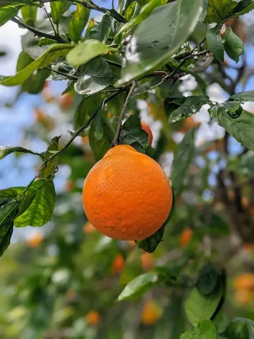 a view of a outdoor space