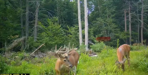 $140,000 | 0 Shaker Road, North Sutton, NH 03260