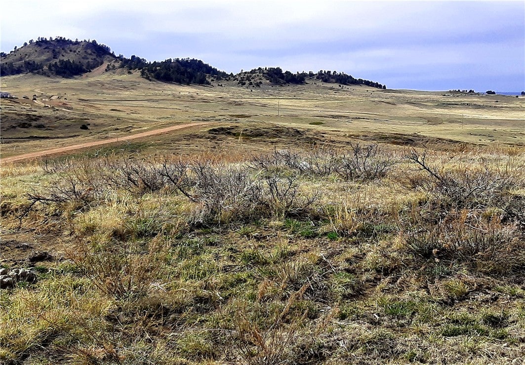 0 Davis Road Miles City, MT 59301 - Photo 10 of 46 Gallery Image 10