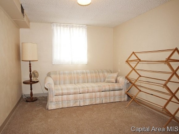 22 Sunny Side Drive Springfield, IL 62702 - Photo 15 of 21
