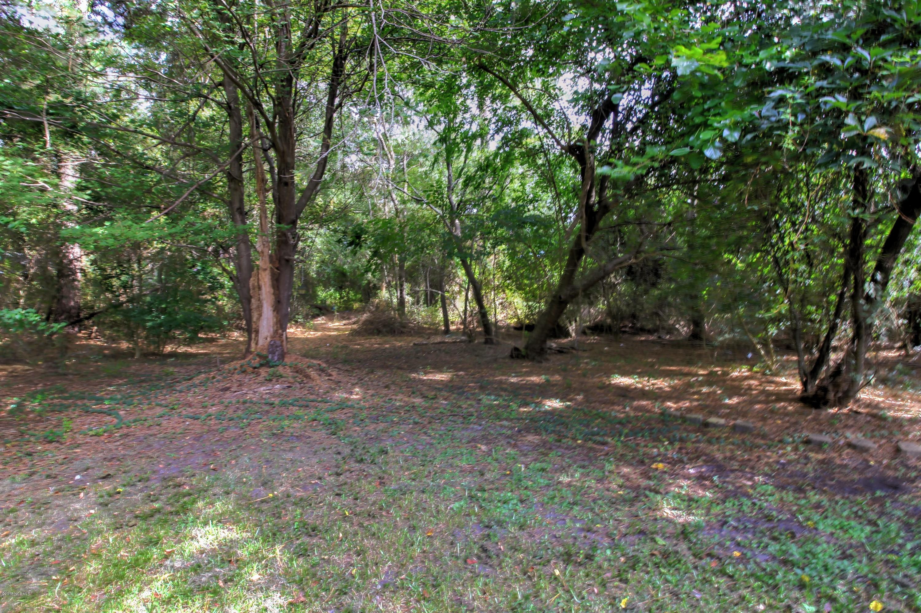 1233 Hibbs Road Newport, NC 28570 - Photo 13 of 13 Yard