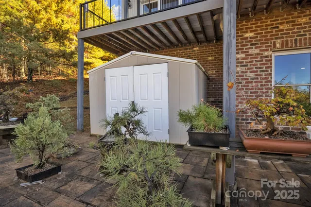 a view of a lush green forest with mountain