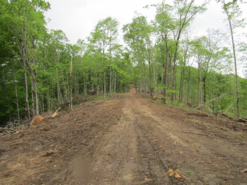 15.35-ac Millie Ridge Road Celina, TN 38551 - Photo 1 of 23 use as main