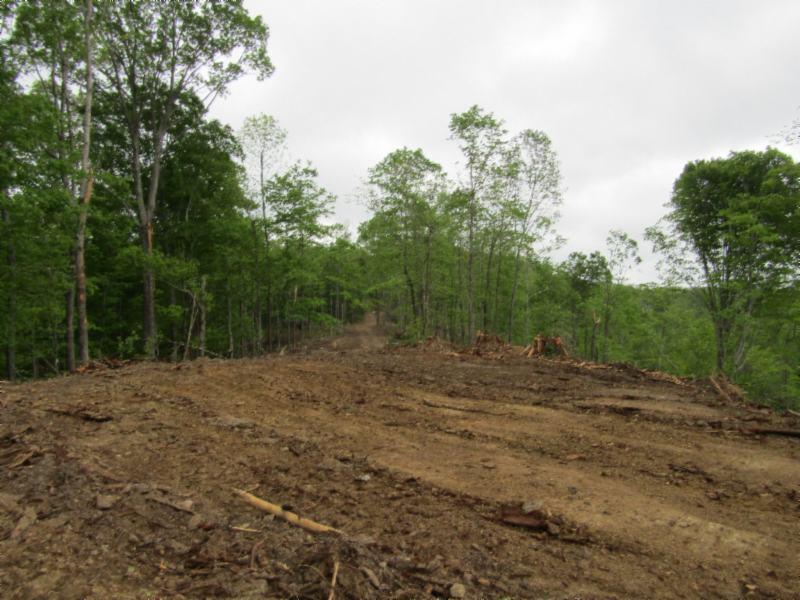 15.35-ac Millie Ridge Road Celina, TN 38551 - Photo 13 of 23 IMG_2327
