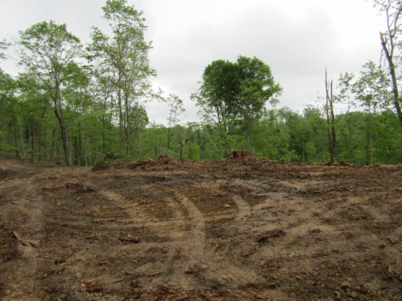 15.35-ac Millie Ridge Road Celina, TN 38551 - Photo 14 of 23 IMG_2329