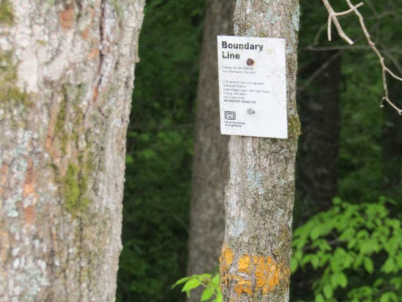 15.35-ac Millie Ridge Road Celina, TN 38551 - Photo 15 of 23 IMG_2330