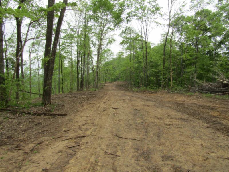 15.35-ac Millie Ridge Road Celina, TN 38551 - Photo 3 of 23 IMG_2316