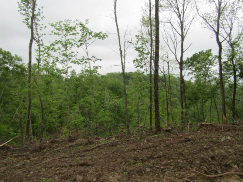 15.35-ac Millie Ridge Road Celina, TN 38551 - Photo 4 of 23 IMG_2317