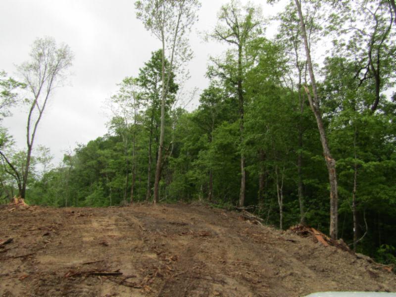 15.35-ac Millie Ridge Road Celina, TN 38551 - Photo 7 of 23 IMG_2320