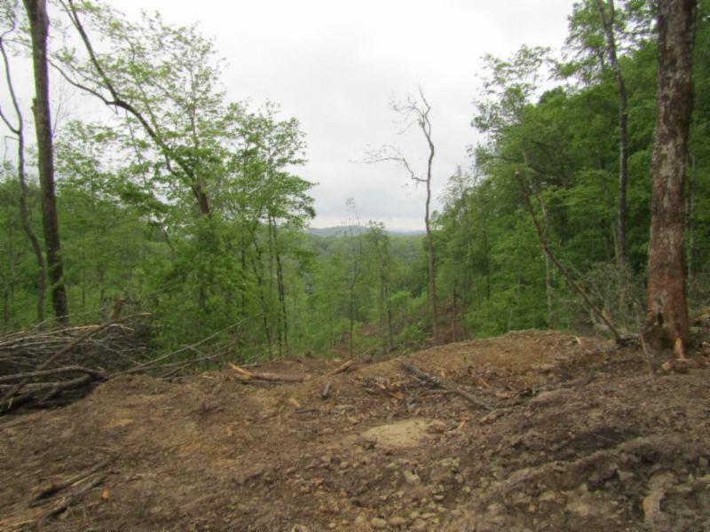 15.35-ac Millie Ridge Road Celina, TN 38551 - Photo 8 of 23 IMG_2321