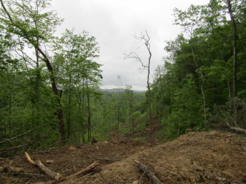 15.35-ac Millie Ridge Road Celina, TN 38551 - Photo 10 of 23 IMG_2324