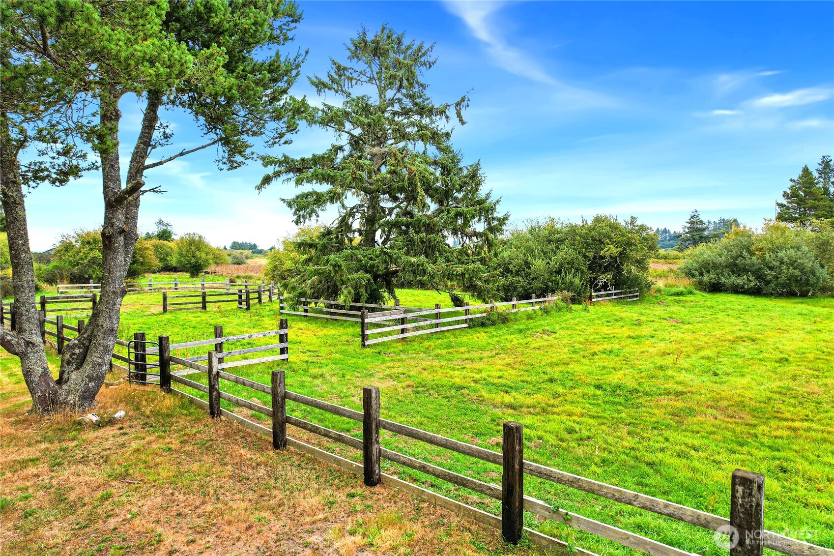 1968 State Route 105 Aberdeen, WA 98520 - Photo 30 of 39 a view of a park with large trees