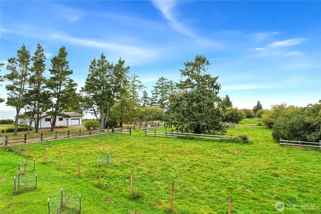 a backyard of a house with lots of green space