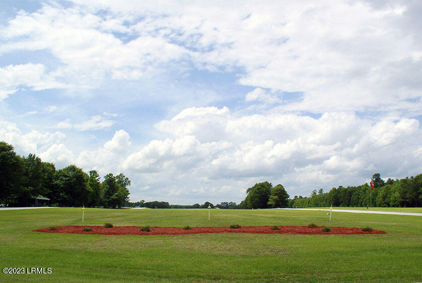 1012 Jonte Drive Manning, SC 29102 - Photo 19 of 21 PAP_runway