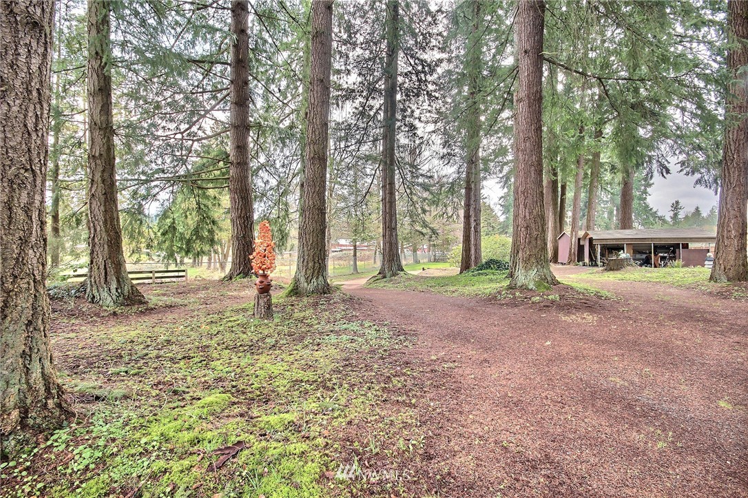 18923 Southeast Petrovitsky Road Renton, WA 98058 - Photo 12 of 23