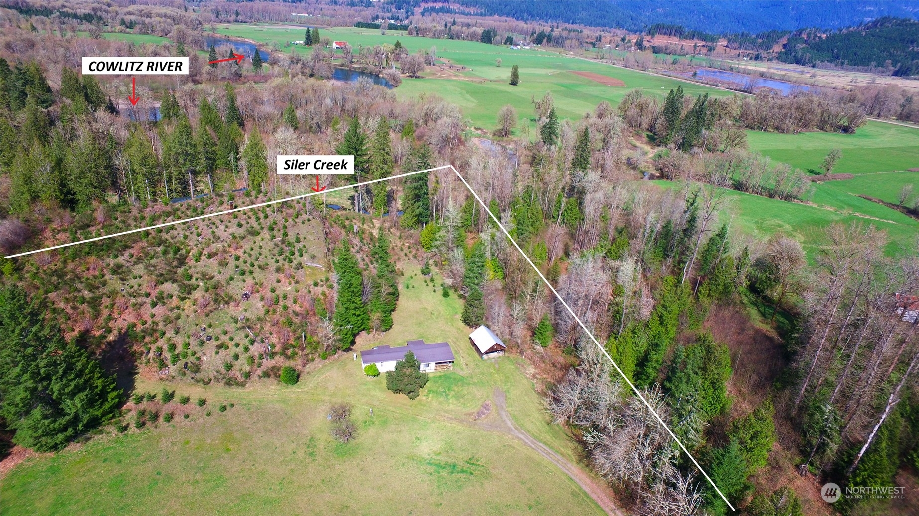 138 Lancie Road Randle, WA 98377 - Photo 6 of 39 Gallery Image 6