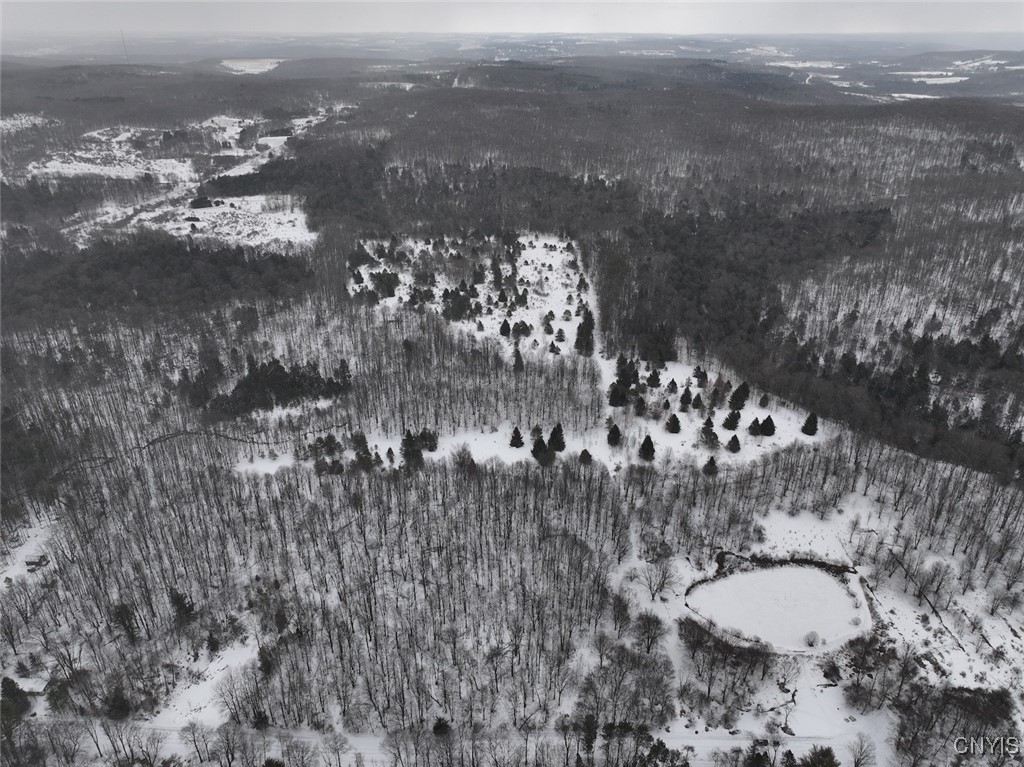 10020 Mclaughlin Road Machias, NY 14171 - Photo 26 of 49