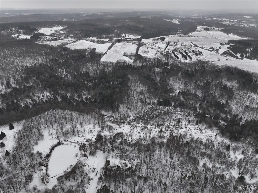 10020 Mclaughlin Road Machias, NY 14171 - Photo 27 of 49