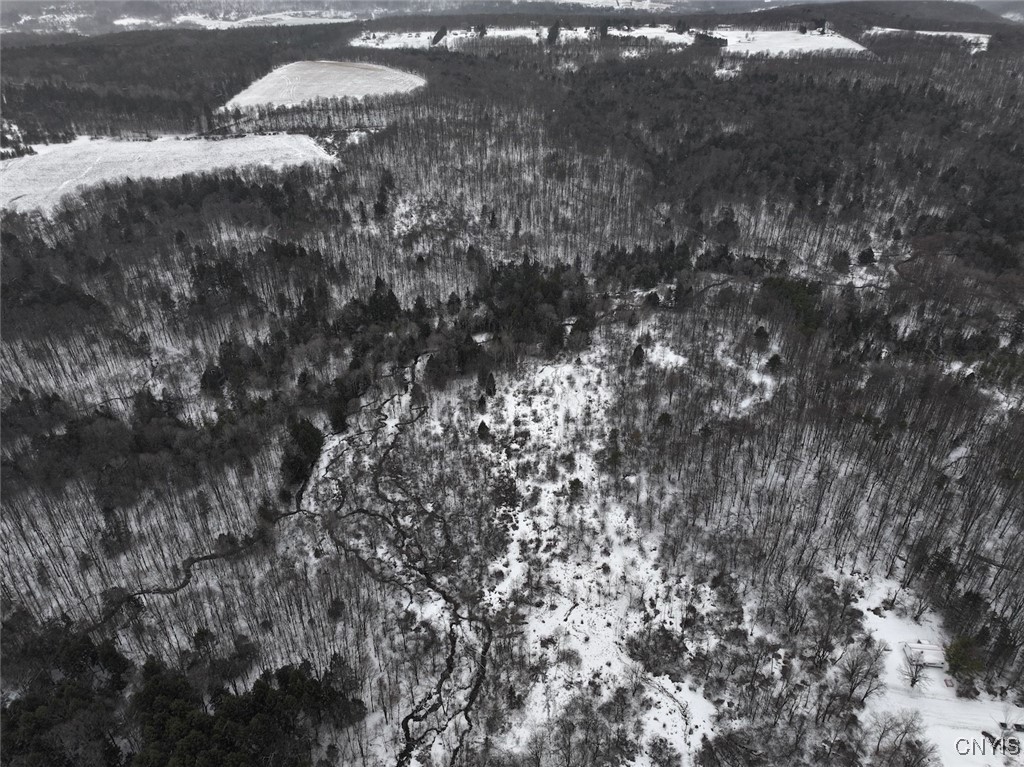 10020 Mclaughlin Road Machias, NY 14171 - Photo 28 of 49