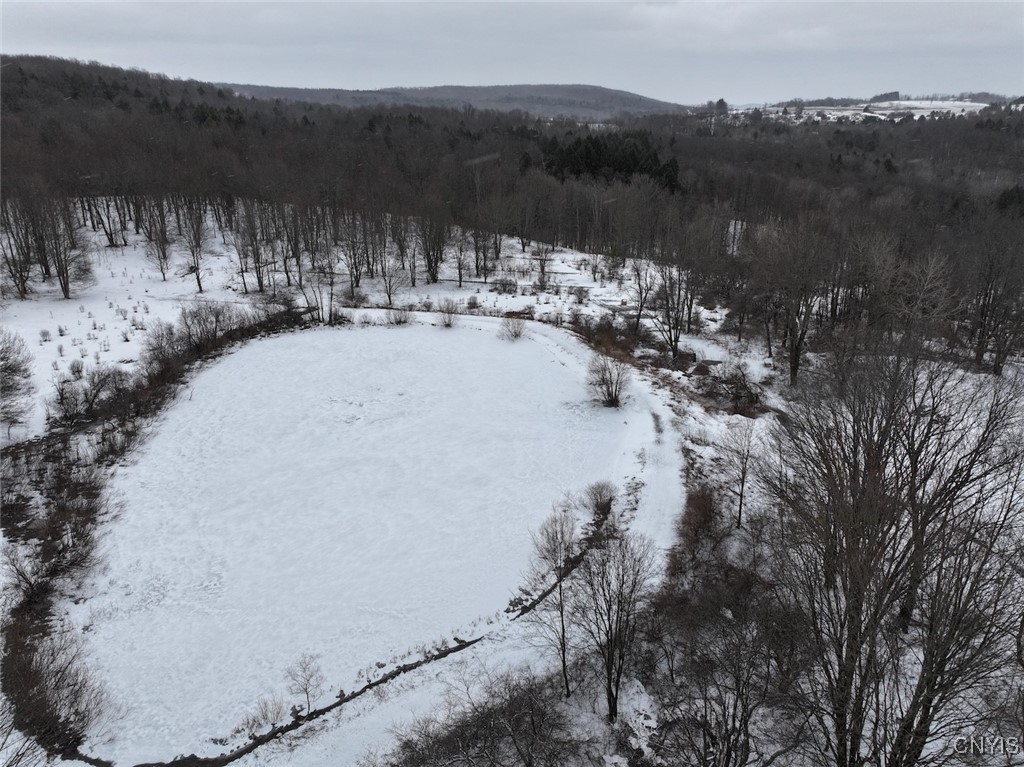 10020 Mclaughlin Road Machias, NY 14171 - Photo 29 of 49