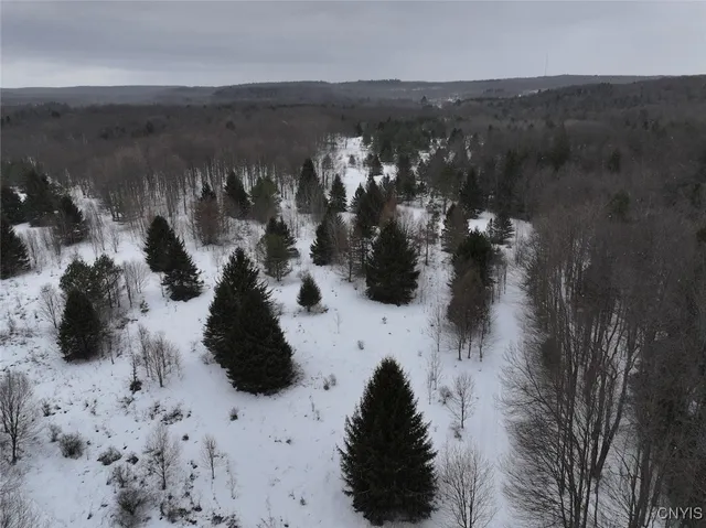 $574,900 | 10020 Mclaughlin Road, Machias, NY 14171