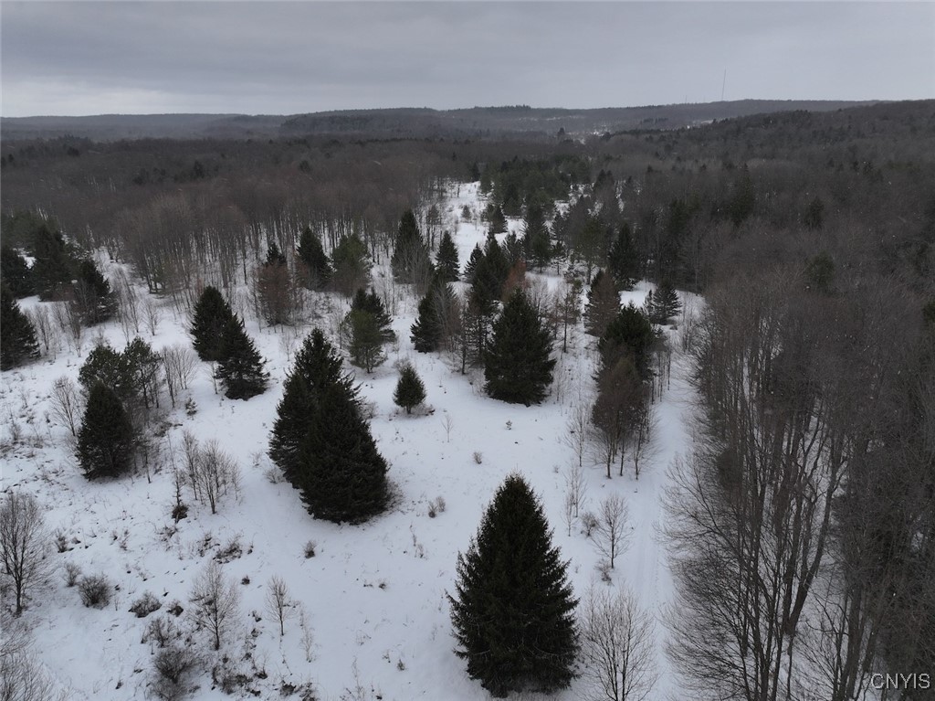 10020 Mclaughlin Road Machias, NY 14171 - Photo 30 of 49