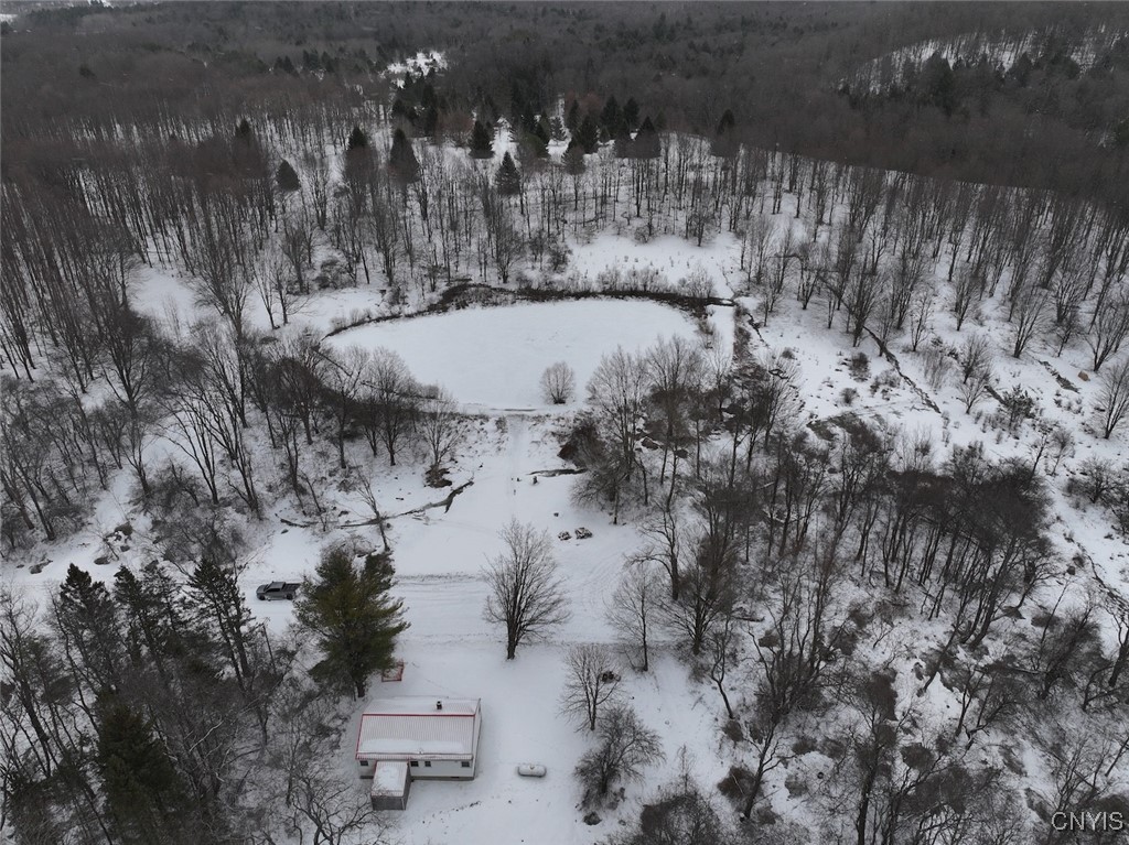 10020 Mclaughlin Road Machias, NY 14171 - Photo 3 of 49